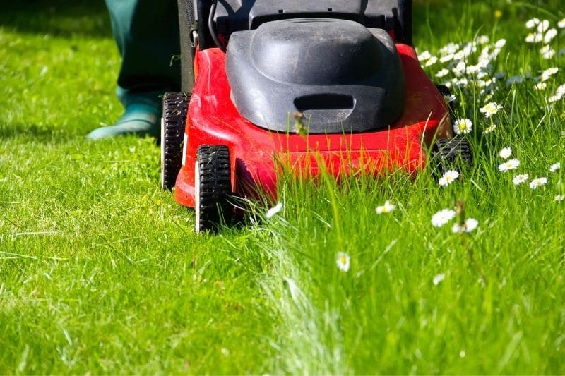 DUBLIN TREATMENT AND LAWN CARE SERVICES