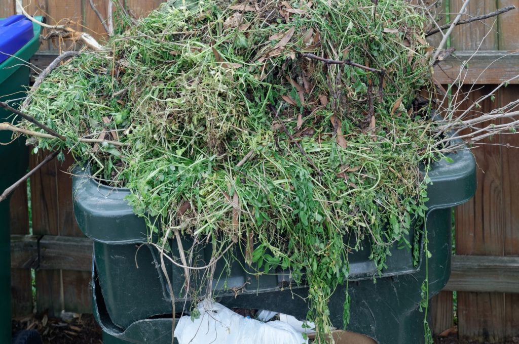 Waste Removal & Garden Clearance