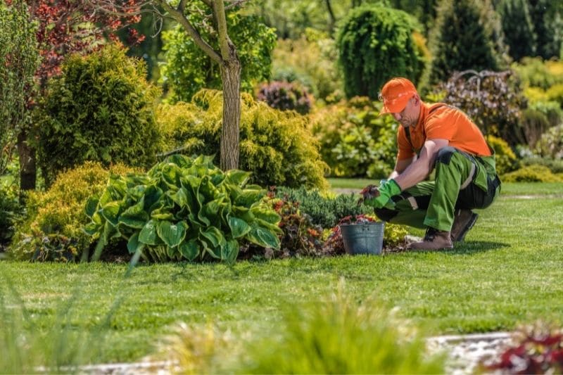 professional Dublin gardeners